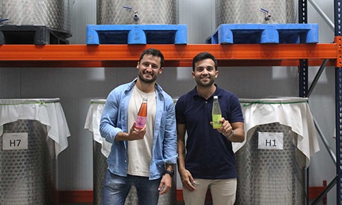 Fundadores de Viver Kombucha