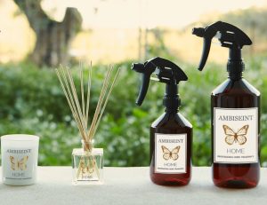 Ambiseint lanza una nueva línea de negocio