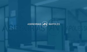 Asesorías Nápoles