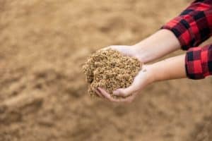 Bagazo, subproducto de la cerveza. Hijos de Rivera y Blendhub colaboran en ImpacTaste