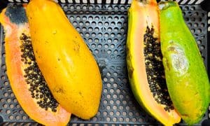 Bio2Coat, empresa innovadora del sector agroalimentario, ha desarrollado un recubrimiento 100% natural que conserva más tiempo el color, sabor y firmeza de diversas frutas.