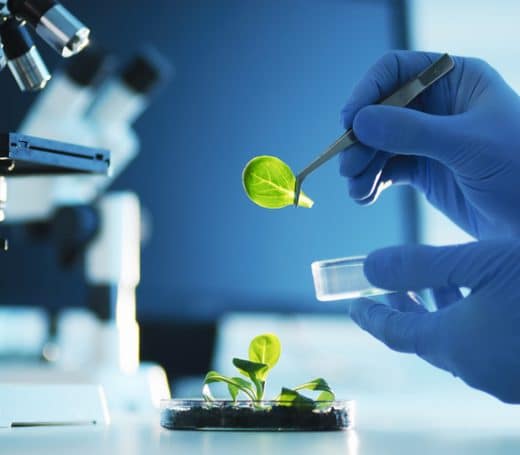 biotech