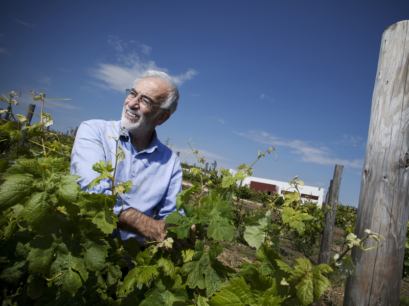 Bodegas Sancha Pérez
