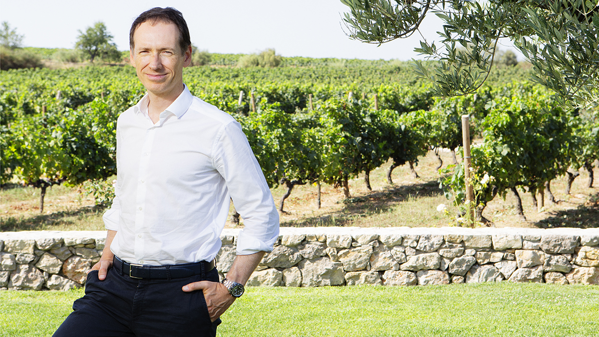 Bodegas Torres