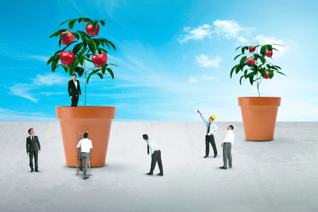Busca tu oportunidad en los servicios low cost para pymes