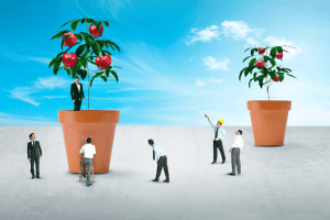 Busca tu oportunidad en los servicios low cost para pymes