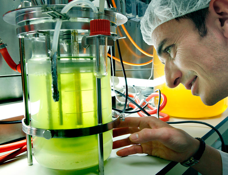 Cómo emprender en biotecnología