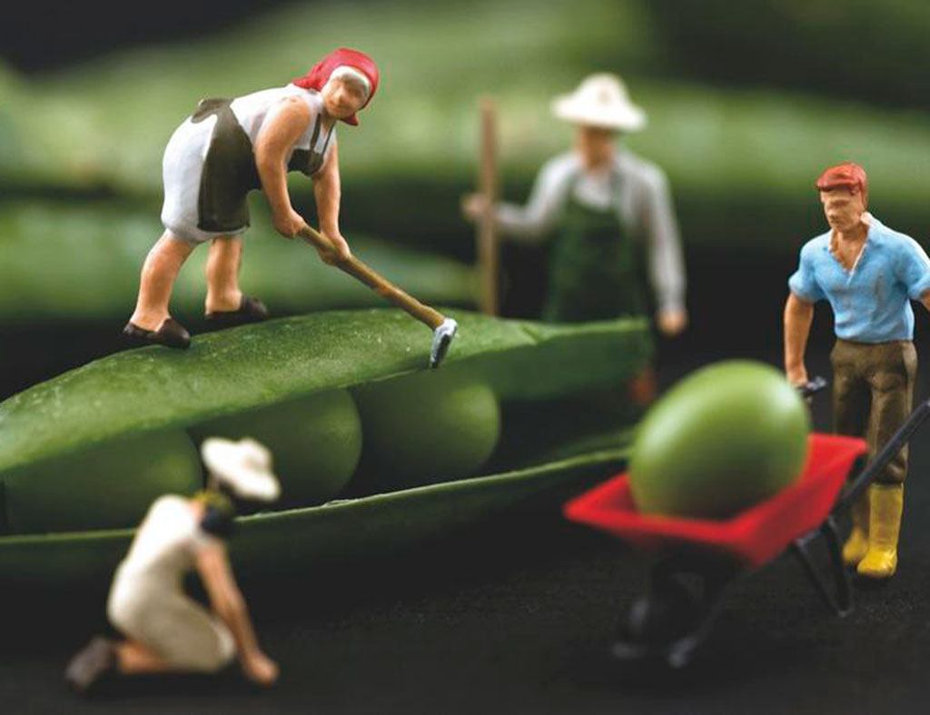 Cómo triunfar con una empresa del sector agroalimentario