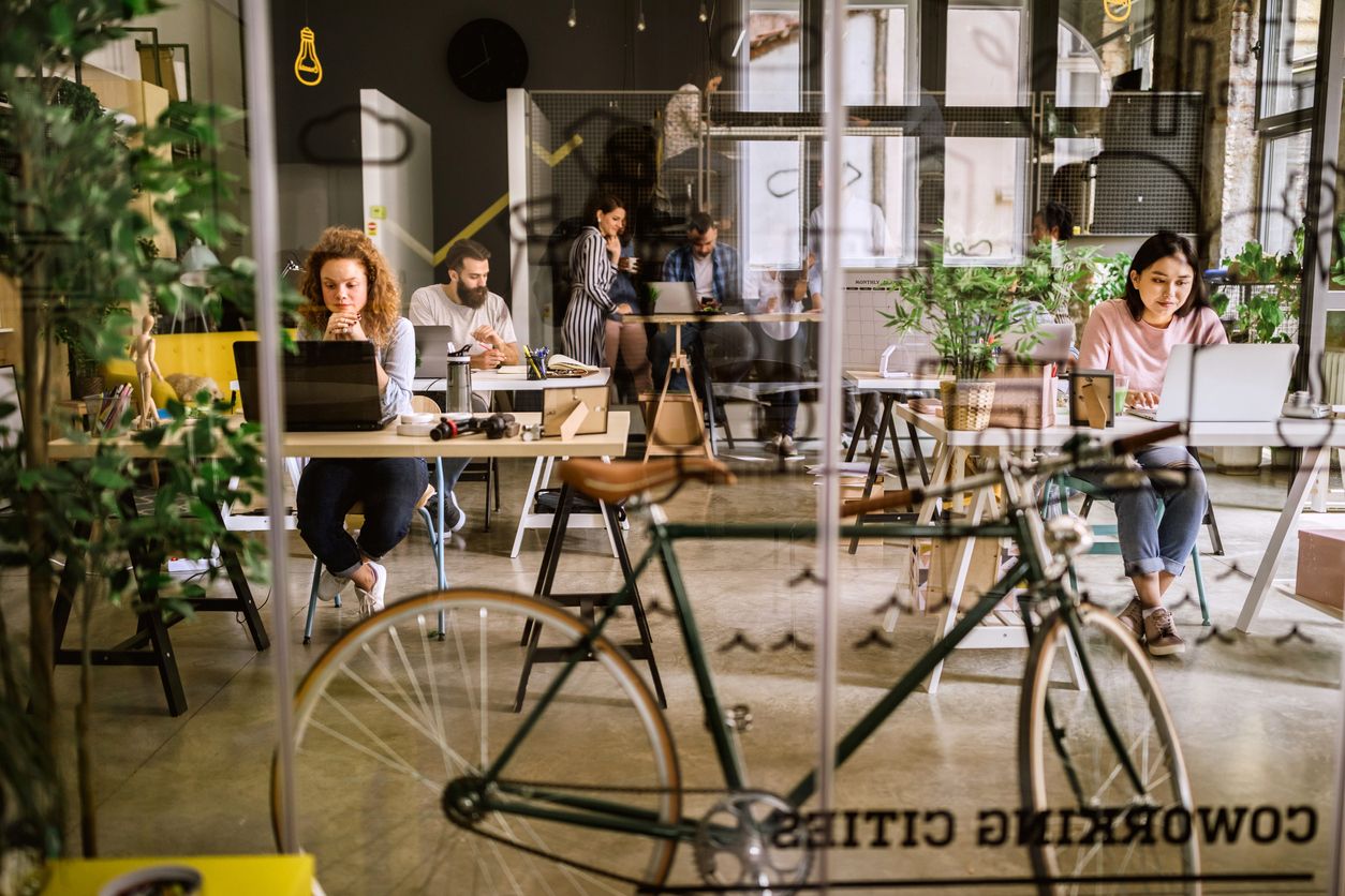 Conoce los 7 proyectos ganadores de Lánzate