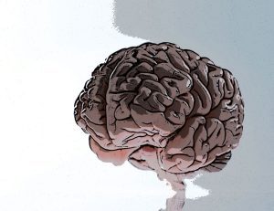 Design Thinking: Los principios del nuevo management