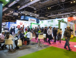 Diversidad y equilibrio sectorial: notas dominantes en Expofranquicia 2018