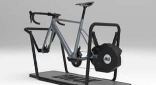 Simulador de Dnak Cycling