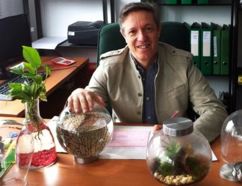 Ecosistemas como decoración
