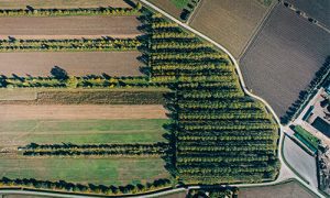 Programa Test Farms de EIT Food