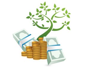 ¿Ejecución o búsqueda de dinero?