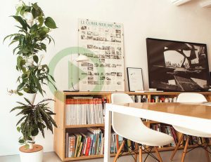 El jardín inteligente de tu casa