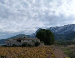 Emprendedores rurales