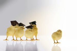 Emprendedores de éxito sin estudios universitarios