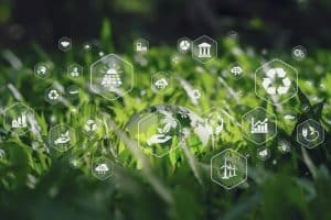 Claves para hacer tu empresa sostenible