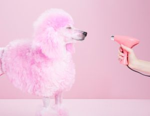¿En qué estás gastando cada euro en tu negocio? ¿Seguro que no había otra alternativa?