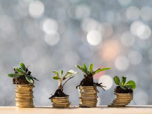 ¿Eres más de renting o de leasing?