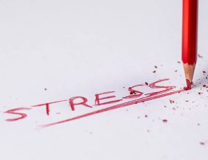 Estrategias par evitar situaciones de tensión dentro de tu equipo