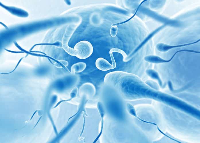 Halotech DNA mide la fertilidad analizando la fragmentación del ADN de los espermatozoides