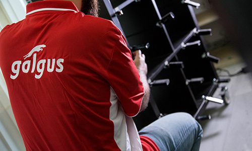 La imparable expansión de Galgus