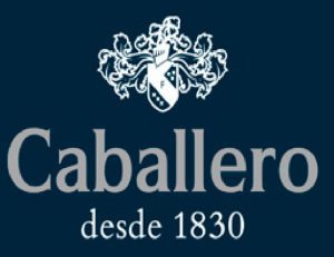 Grupo Caballero recurre a Expense Reduction Analysts