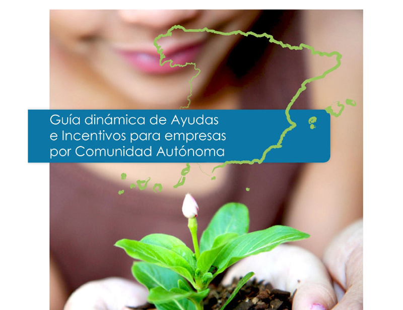 Guías ‘dinámicas’ de ayudas a empresas