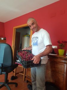 Historias humanas de la crisis: de emprendedor turístico a recoger frutos con hueso