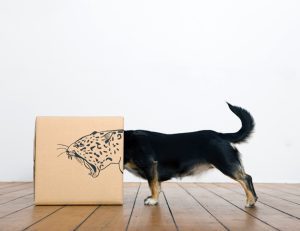 Haz que tu empresa también ‘salga de la caja’