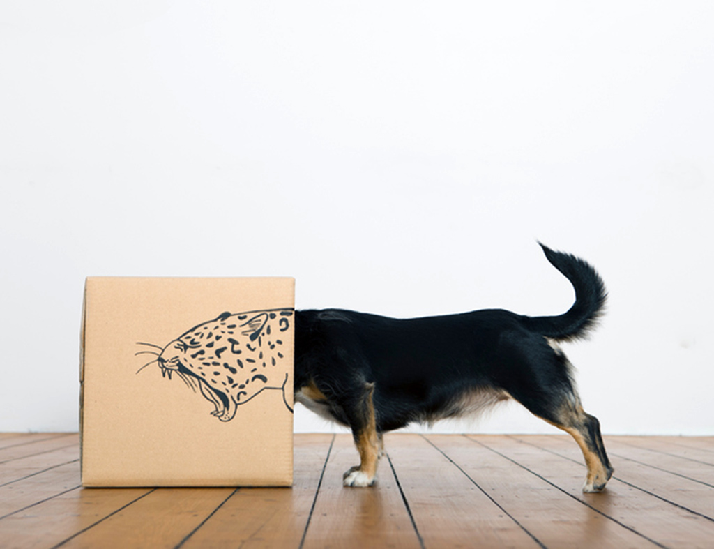 Haz que tu empresa también ‘salga de la caja’