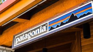 ¿Donarías tu empresa en favor de la sostenibilidad del planeta? El caso de Patagonia