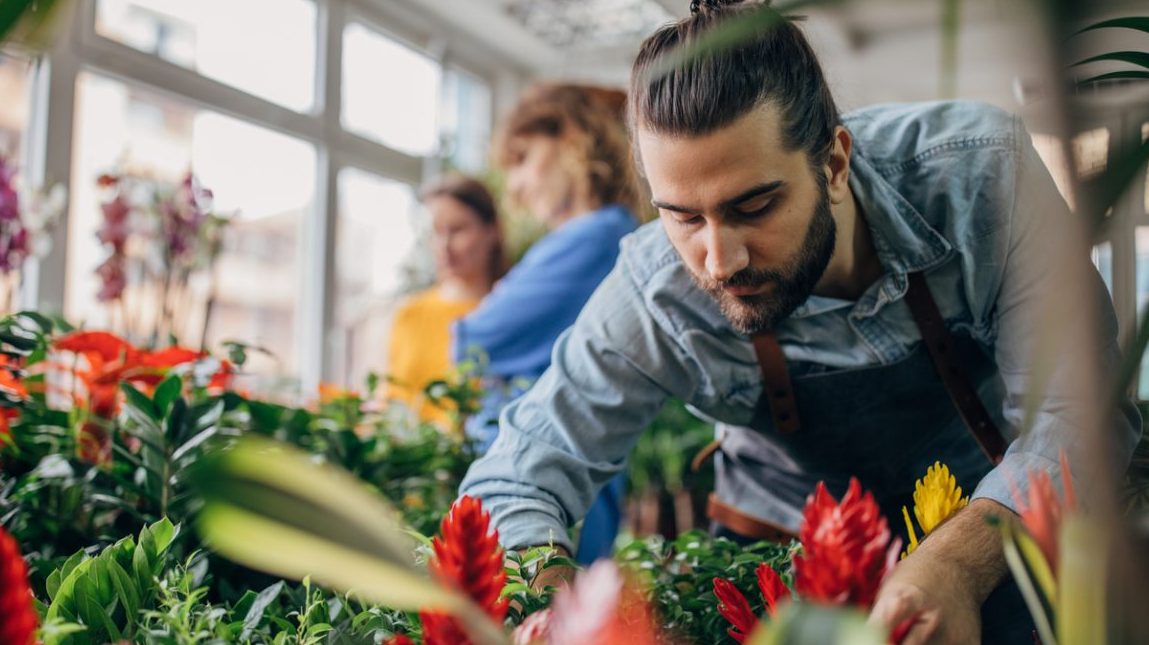 Cómo abrir una floristería o tienda de plantas con éxito