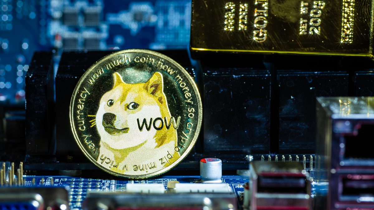 Dogecoin: la divisa “meme” que muestra la burbuja de las criptomonedas