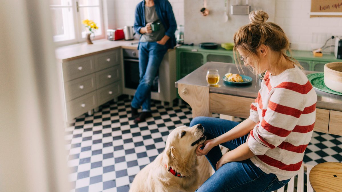 Permiso de paternidad por acoger una mascota. ¿Lo aplicarías en tu empresa?
