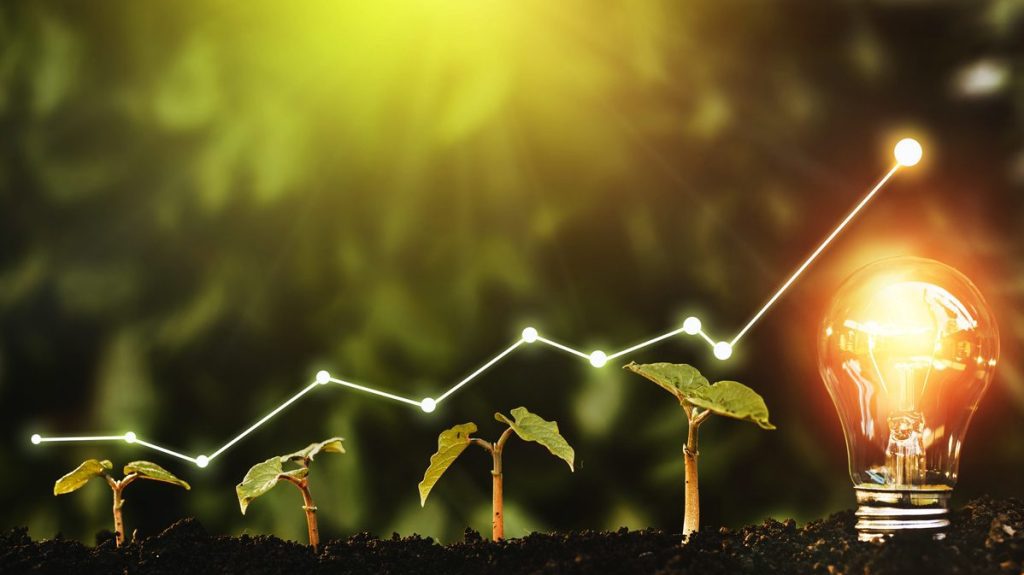 Las startups españolas aguantaron el pulso en 2020