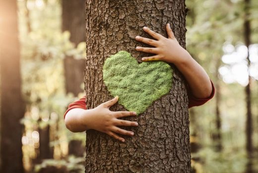 5 ideas de negocio rentables enfocadas a cuidar del medioambiente
