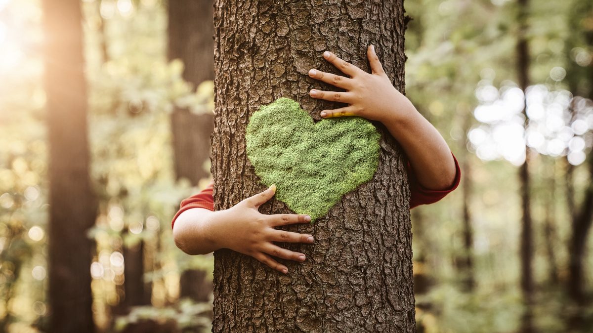 5 ideas de negocio rentables enfocadas a cuidar del medioambiente