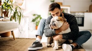 Productos para mascotas: un negocio multimillonario que no para de crecer