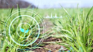 AgroBank Tech Digital INNovation: conoce el nuevo ecosistema tecnológico para el sector agroindustrial