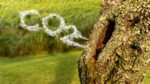 Castilla y León apuesta por un modelo de economía circular, neutro en carbono