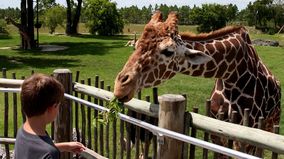 Los emprendedores españoles que triunfaron tras conocerse en un zoo de San Francisco
