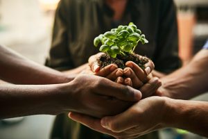 Ideas innovadoras enfocadas hacia la sostenibilidad