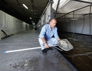 ¡Idea original! Producir langostinos a cientos de kilómetros del mar