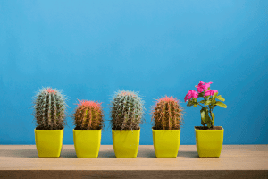 Startups que marcan la diferencia