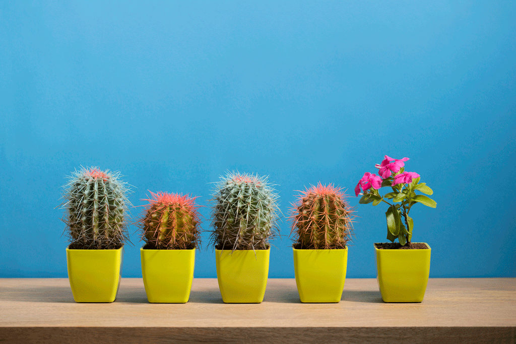 Startups que marcan la diferencia
