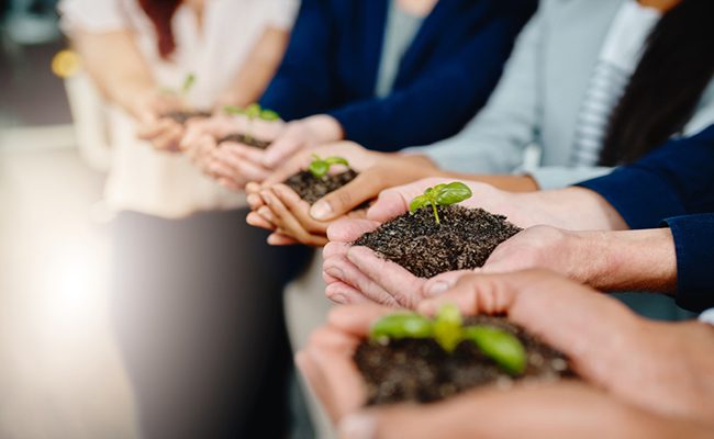 20 ideas de negocio que abordan los desafíos sociales y ambientales más urgentes