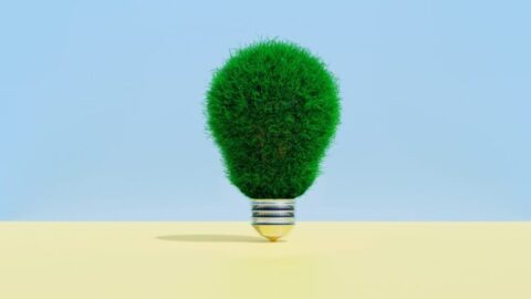ideas sostenibilidad